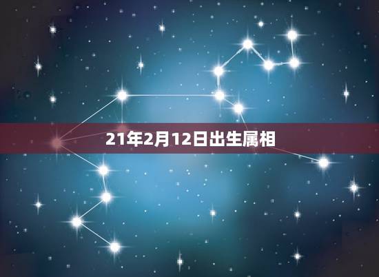 21年2月12日出生属相，21年是什么生肖年
