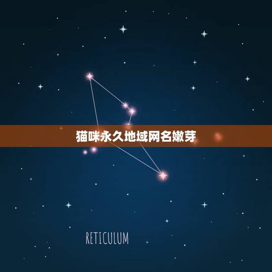 猫咪永久地域网名嫩芽，好听的猫咪名字100个？