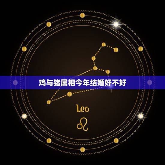 鸡与猪属相今年结婚好不好，我属猪，老公属鸡，我们牛年结婚好吗