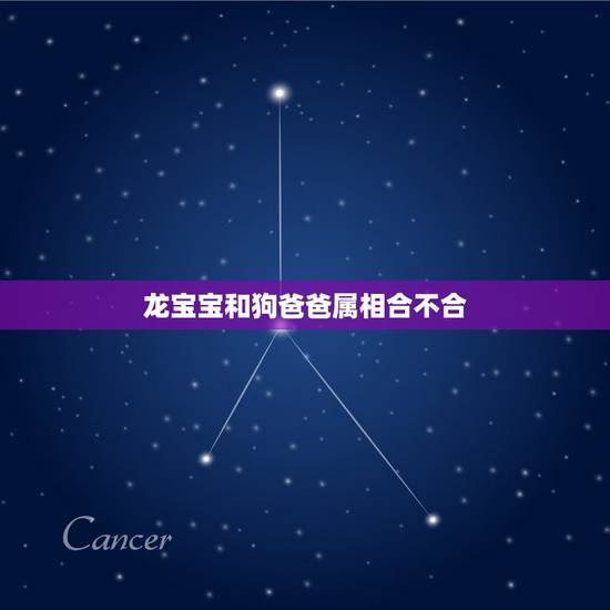 龙宝宝和狗爸爸属相合不合，属龙和属狗的父母生什么属相的子女最好