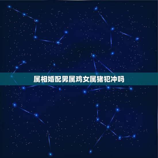 属相婚配男属鸡女属猪犯冲吗，属相合婚，女狗男鸡相冲吗？