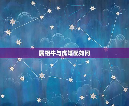 属相牛与虎婚配如何，属牛六月生和属虎十一月生的婚配如何