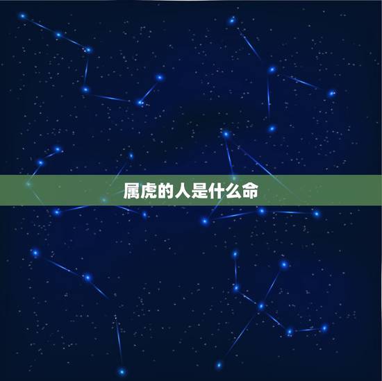 属虎的人是什么命 属虎的人势运如何 属虎的人是什么命 属虎的人势运如何