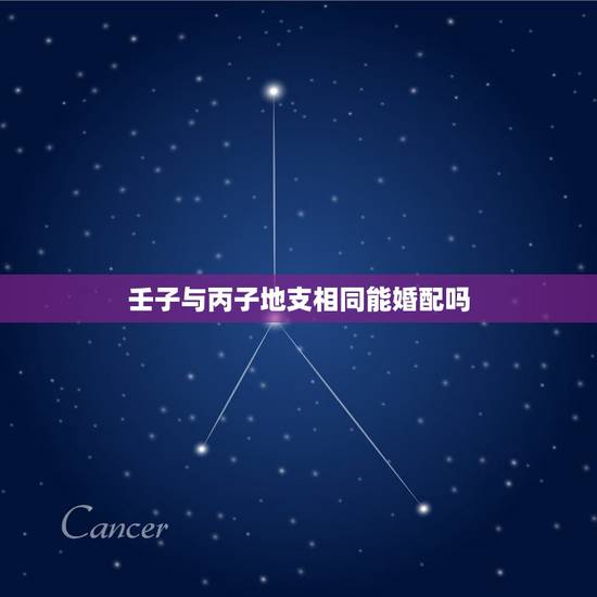 壬子与丙子地支相同能婚配吗，壬子年壬子月丙子日戊子时生人！请求问