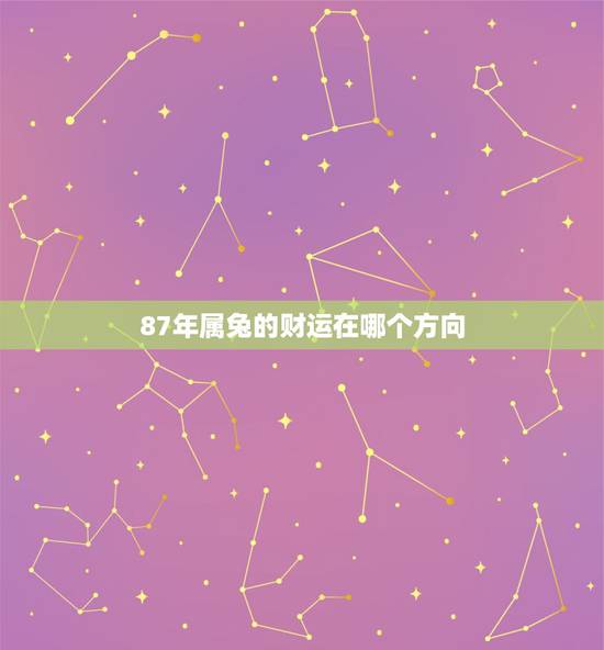 87年属兔的财运在哪个方向，1987年属兔财运方向