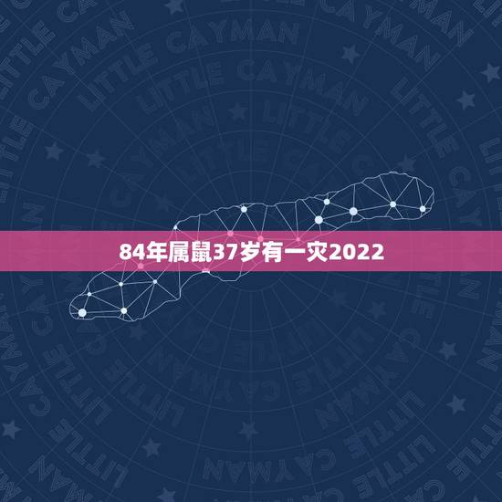 84年属鼠37岁有一灾2022,84年属鼠36岁以后的一生命运 84年属鼠37岁有一灾2022,84年属鼠36岁以后的一生命运
