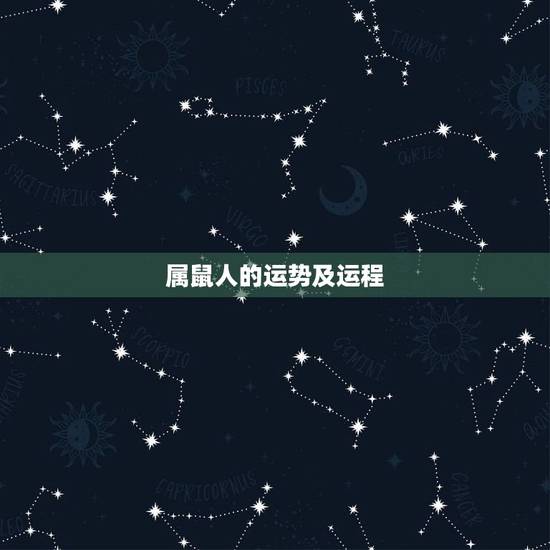 属鼠人的运势及运程，属鼠人一生运势运程