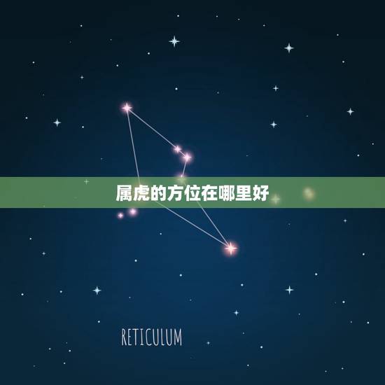属虎的方位在哪里好，属虎的人的吉利方位