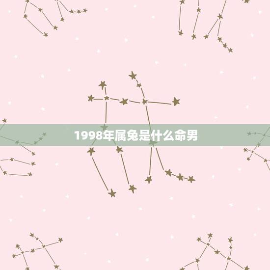 1998年属兔是什么命男,属虎1998年的男孩命运 1998年属兔是什么命男,属虎1998年的男孩命运