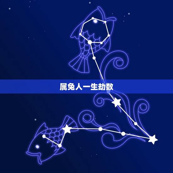 属兔人一生劫数，属兔人的劫数87的女四月