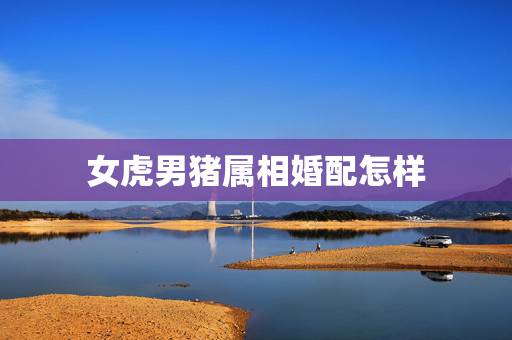 女虎男猪属相婚配怎样,属虎女生婚配什么属相的男生 女虎男猪属相婚配怎样,属虎女生婚配什么属相的男生