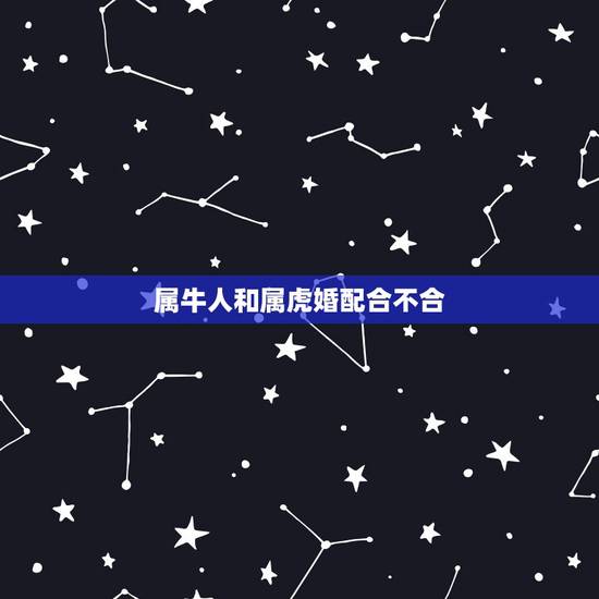 属牛人和属虎婚配合不合,属牛和属虎的婚配如何 属牛人和属虎婚配合不合,属牛和属虎的婚配如何