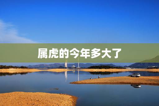 属虎的今年多大了 属虎年龄 属虎的今年多大了 属虎年龄