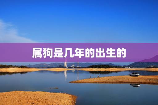 属狗是几年的出生的,属狗的都是几几年的 属狗是几年的出生的,属狗的都是几几年的