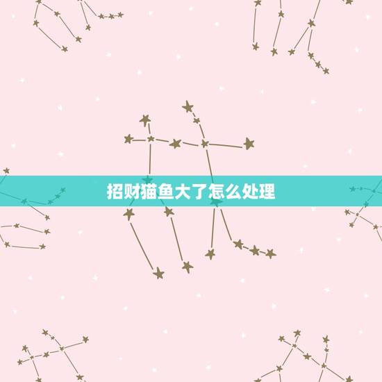 招财猫鱼大了怎么处理，问家养的猫鱼太大了不想养了咋办？