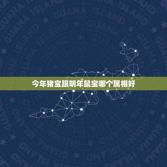 今年猪宝跟明年鼠宝哪个属相好，2023.2月1日属什么？