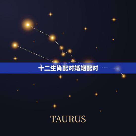 十二生肖配对婚姻配对，男女属相婚配表大全