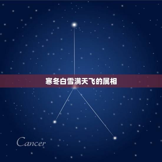 寒冬白雪满天飞的属相，白雪皑皑是什么生肖