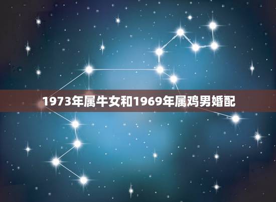 1973年属牛女和1969年属鸡男婚配，73年属牛和69年属鸡的感情有