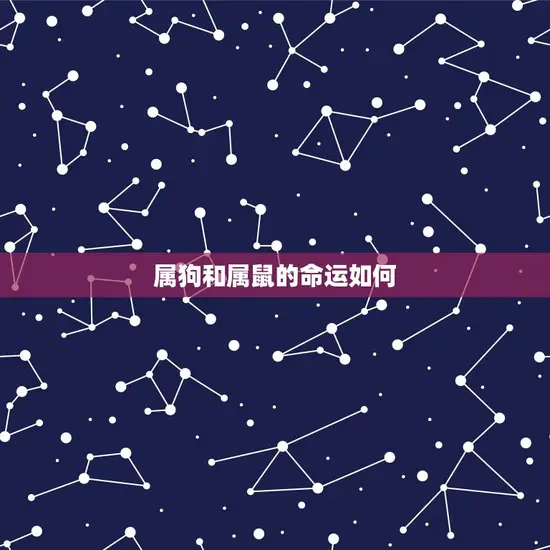 属狗和属鼠的命运如何