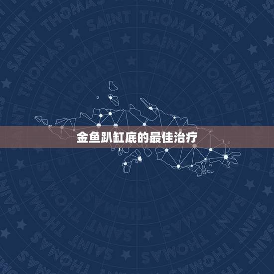 金鱼趴缸底的最佳治疗，金鱼老是爬缸底是怎么了？