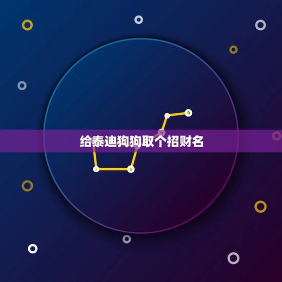 给泰迪狗狗取个招财名，给爱狗取个名字，带财运的