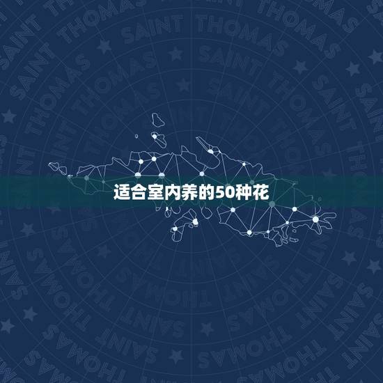 适合室内养的50种花,适合室内养的50种植物 适合室内养的50种花,适合室内养的50种植物