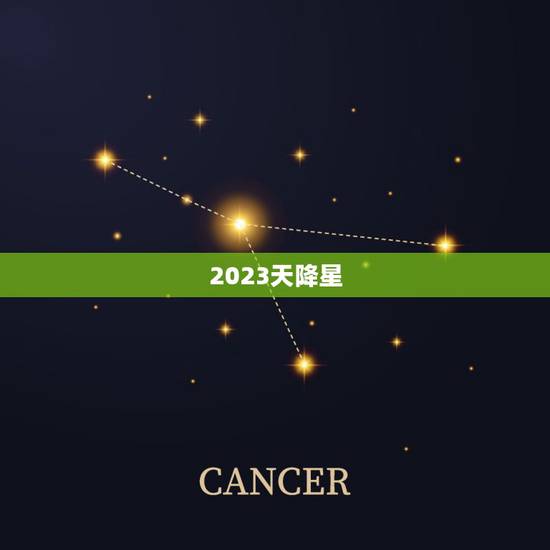 2023天降星，圣女是做什么工作
