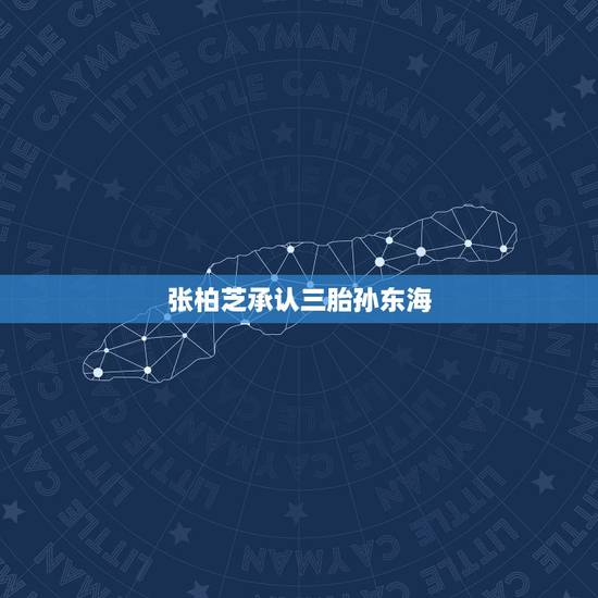 张柏芝承认三胎孙东海,张柏芝将娱记告上法庭,三胎父亲姓名栏是谁? 张柏芝承认三胎孙东海,张柏芝将娱记告上法庭,三胎父亲姓名栏是谁?