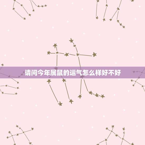 请问今年属鼠的运气怎么样好不好，周易八字免费测算