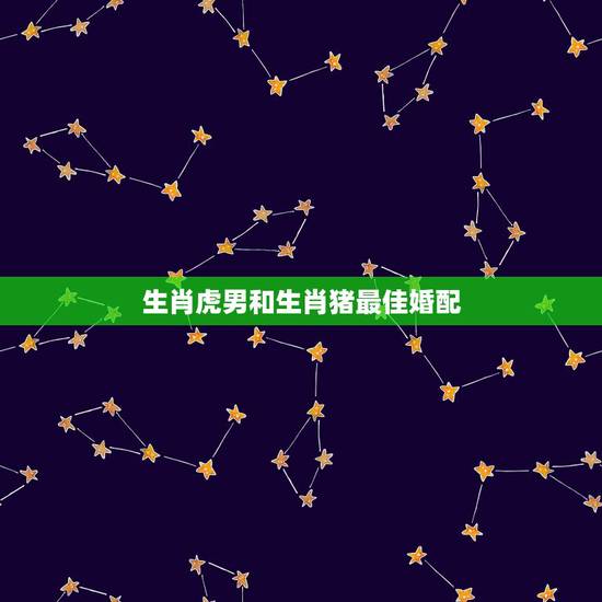 生肖虎男和生肖猪最佳婚配，83年属猪的男人和86年属虎的女人八字和吗？