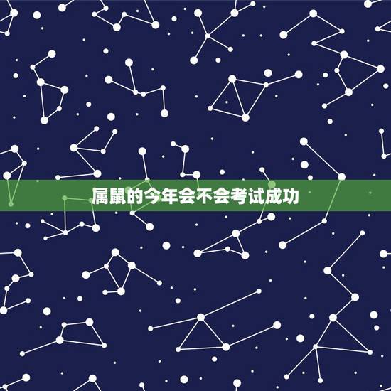 属鼠的今年会不会考试成功,2022 年生肖鼠学业 属鼠的今年会不会考试成功,2022 年生肖鼠学业