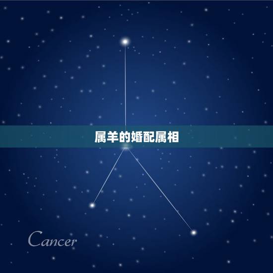 属羊的婚配属相，属羊婚配属相