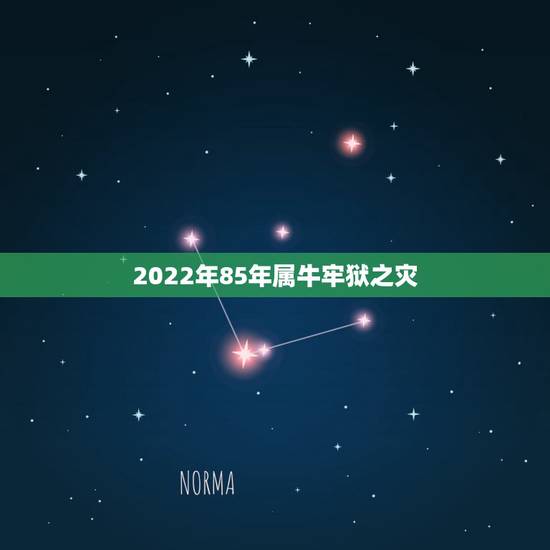 2022年85年属牛牢狱之灾,1985属牛2022年每月运程 2022年85年属牛牢狱之灾,1985属牛2022年每月运程