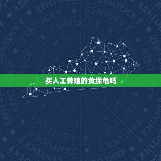 买人工养殖的黄缘龟吗，自家养一只人工黄缘龟吗