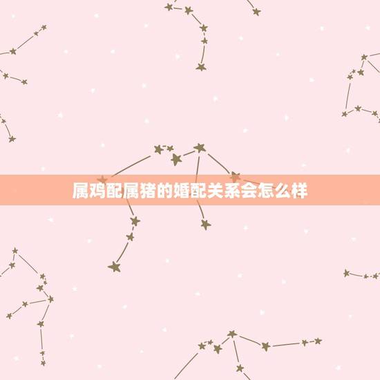 属鸡配属猪的婚配关系会怎么样，属相婚配属鸡和属猪相配好吗