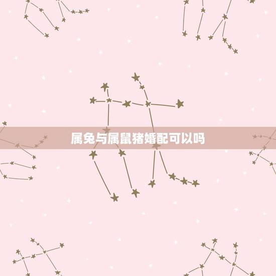 属兔与属鼠猪婚配可以吗，属猪的和属兔的结婚好吗