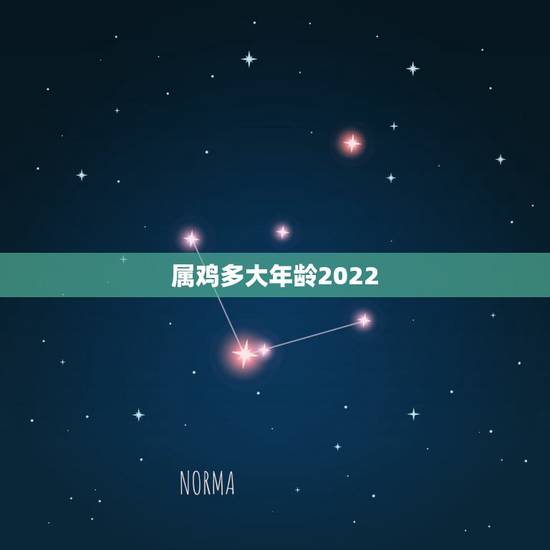属鸡多大年龄2022，属鸡的2022 年多大年龄