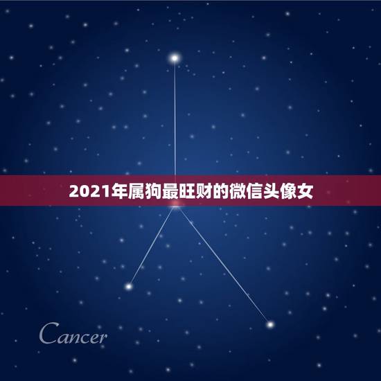 2021年属狗最旺财的微信头像女，2021最旺财旺运的微信网名女