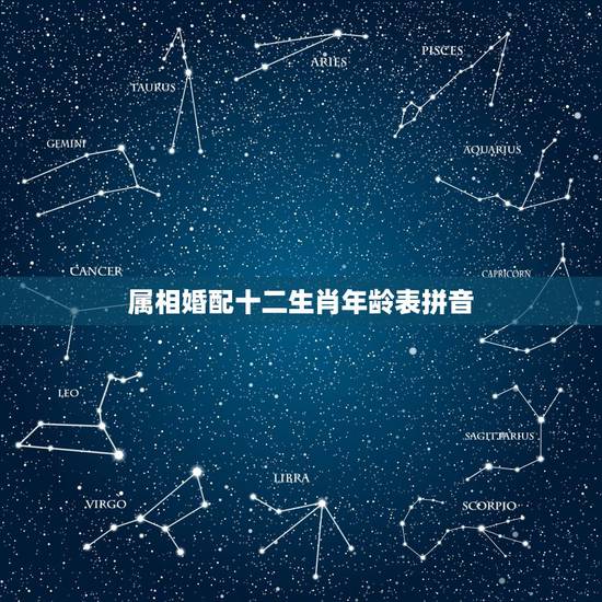 属相婚配十二生肖年龄表拼音，十二生肖婚配