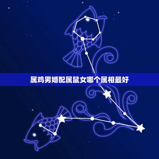 属鸡男婚配属鼠女哪个属相最好,属鼠的男孩和什么属相的女孩相配 属鸡男婚配属鼠女哪个属相最好,属鼠的男孩和什么属相的女孩相配