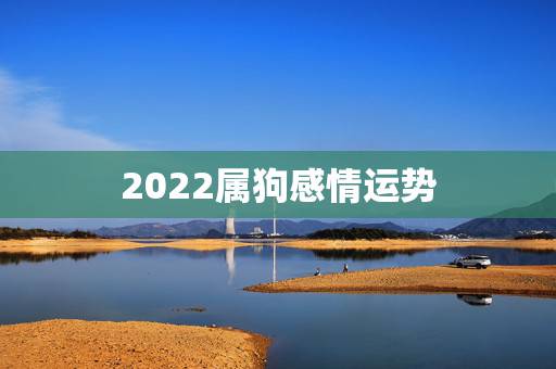 2022属狗感情运势，生肖狗2022年运势