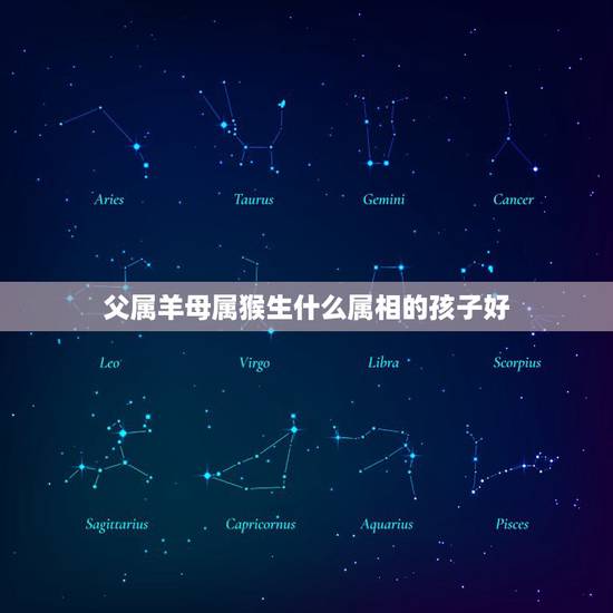 父属羊母属猴生什么属相的孩子好，男属羊79 8月 女属猴80 3月生啥