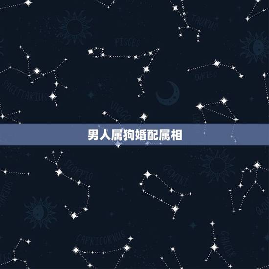 男人属狗婚配属相,属相属狗的婚配什么属相最好 男人属狗婚配属相,属相属狗的婚配什么属相最好