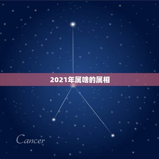 2021年属啥的属相，2021年属什么生肖？