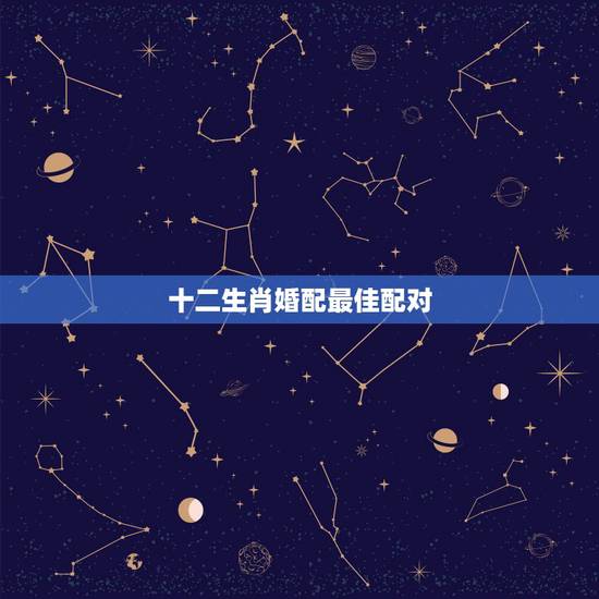 十二生肖婚配最佳配对,十二生肖婚姻配对最好呢? 十二生肖婚配最佳配对,十二生肖婚姻配对最好呢?