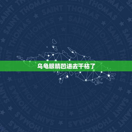 乌龟眼睛凹进去干枯了，我的乌龟眼睛凹下去，很干的样子，好象死了……
