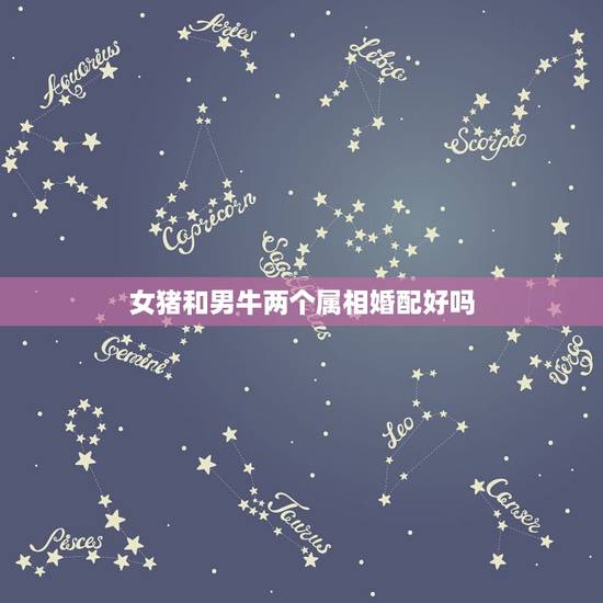 女猪和男牛两个属相婚配好吗，女猪男牛能结婚相合么？