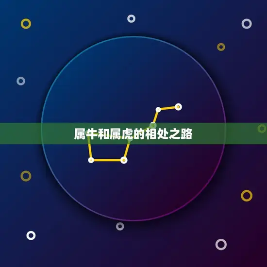 属牛和属虎的相处之路