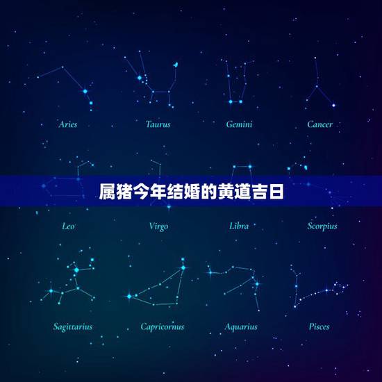 属猪今年结婚的黄道吉日,2022 年属猪订婚吉日 属猪今年结婚的黄道吉日,2022 年属猪订婚吉日